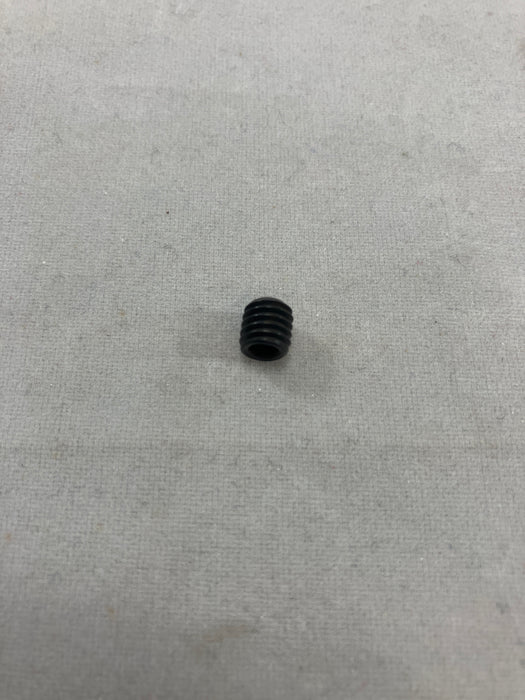 SWF - HEX SOCKET SET SCREW (M6*L6) [PSC-CB002100, 1-V-2-1]