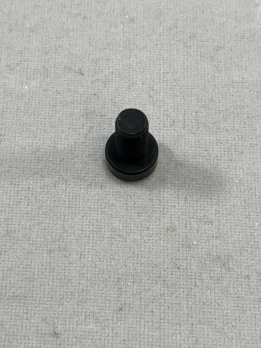 SWF - NEEDLE PLATE ASSEMBLY SCREWS [SC-002102-00][1-W-1-1]