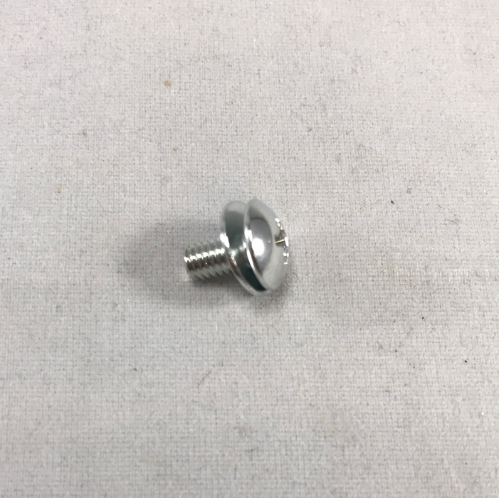SWF - TRUSS SCREW (M4*L8Ni) [PSC-BH000300, ][4-B-5-3]