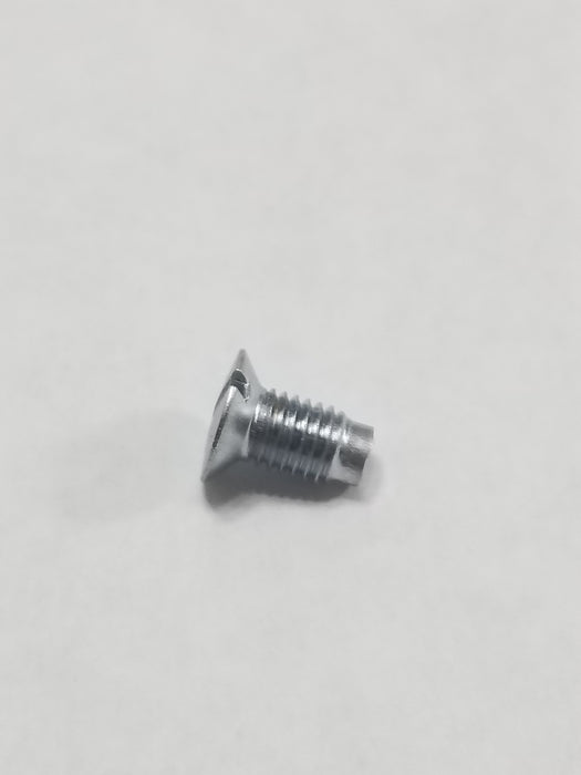 SWF - NEEDLE PLATE SCREW [DSC-BC000300, 4-B-1-3]